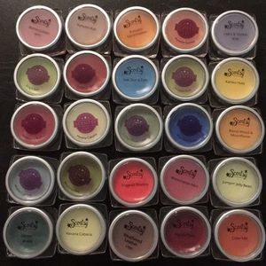 Scentsy Full Size Testers or Samples (1)